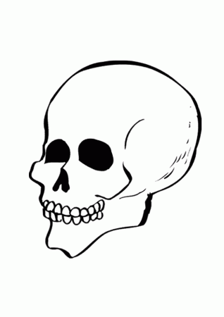Skull Coloring Pages and Book | UniqueColoringPages