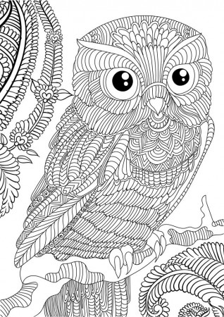 Best Adult Coloring Books — ***FREE OWL ADULT COLORING BOOK CLICK ...