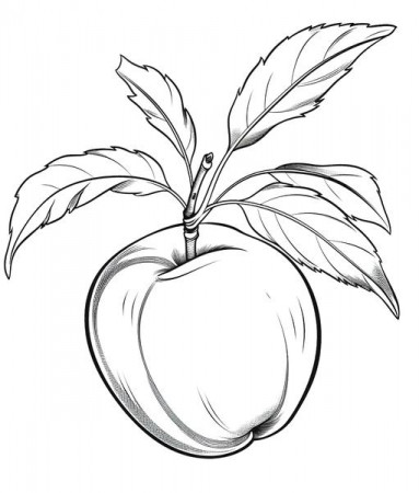 Free Printable Fruits Coloring Pages List