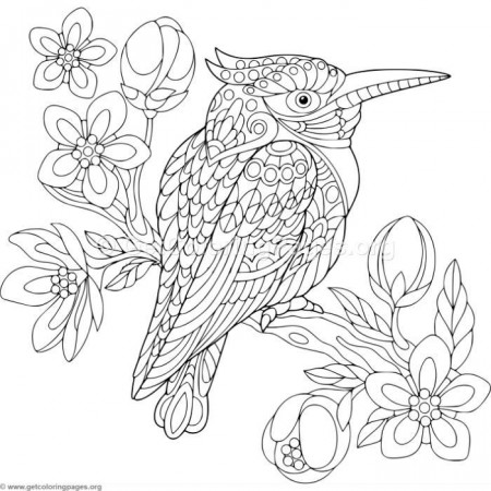 Download this free Zentangle Kingfisher Bird Coloring Pages #coloring  #coloringbook #coloringpages … | Páginas para colorear, Dibujos, Dibujos  para colorear adultos