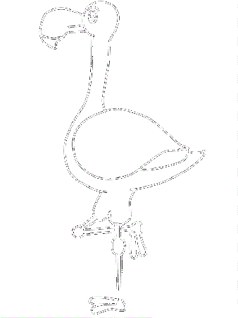 Mexican Flamingo Coloring Page - Free Printable Coloring Pages for ...