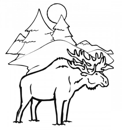 Animal Coloring Pages Moose - Coloring Pages For All Ages