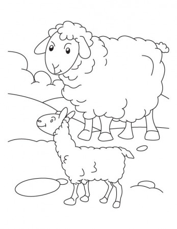 Mother sheep with its lamb coloring page | Download Free Mother ...