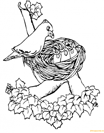 Mother Bird Feeding Cute Baby In The Nest Coloring Pages - Nature & Seasons Coloring  Pages - Coloring Pages For Kids And Adults