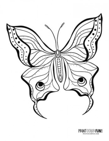 60+ butterfly coloring pages & clipart ...