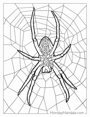 28 Spider Coloring Pages (Free PDF ...