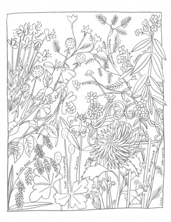 A garden coloring page – Sara Parker Textiles