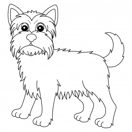Premium Vector | Yorkshire terrier isolated coloring page for kids