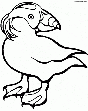 Puffin Coloring Page