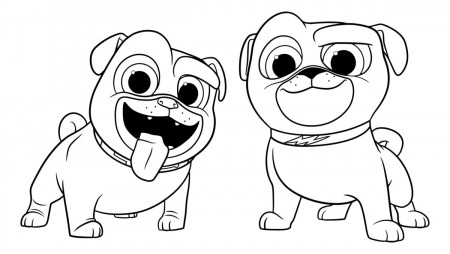Dog And Cat Coloring Pages Popular Coloring Pages Of Dogs And Cats Puppy Dog  Pals To Download - birijus.com