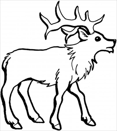 Caribou Coloring Pages - ColoringBay
