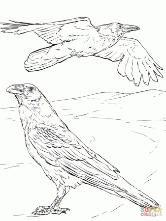 Crows coloring pages | Free Coloring Pages