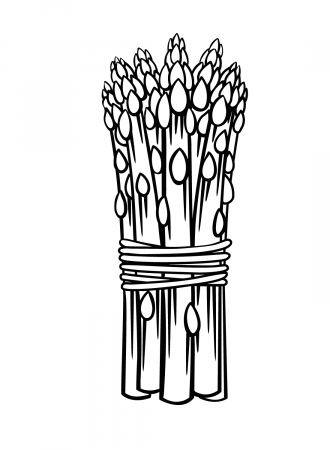 Asparagus Coloring Pages - Coloring Pages For Kids And Adults