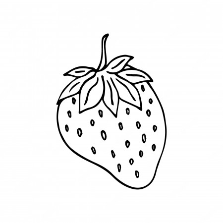 Premium Vector | Strawberry coloring book vector. line art of healthy berry  black and white