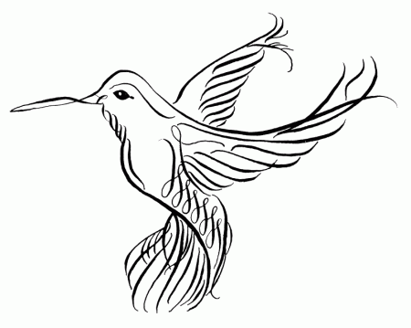 Hummingbird Coloring Pages Images & Pictures - Becuo
