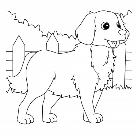 Premium Vector | Golden retriever dog coloring page for kids