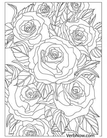Free FLOWERS Coloring Pages for Download (Printable PDF) - VerbNow