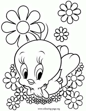 Search Results » Drawings Of Tweety