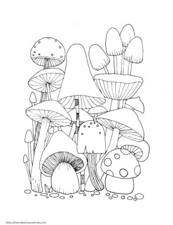 14 Fun Mushroom Coloring Pages For Kids & Adults