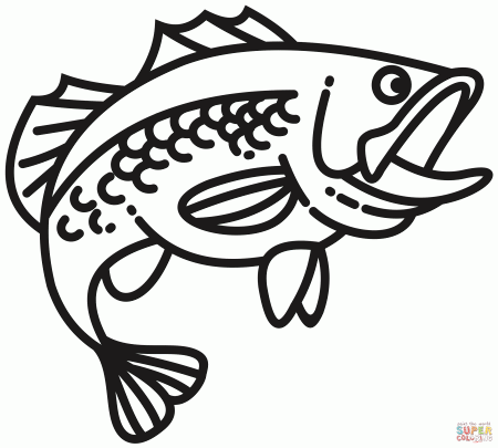Bass Fish coloring page | Free Printable Coloring Pages