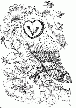 free owl coloring pages to print. girl owl. perched long eared owl ...