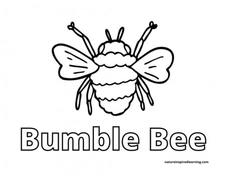 Busy Bee Coloring Pages for Kids - Nature Inspired Learning