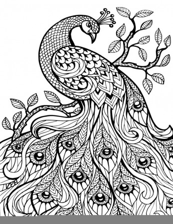 Coloring Pages: Zentangle And Adult Coloring On Zentangle Adult ...