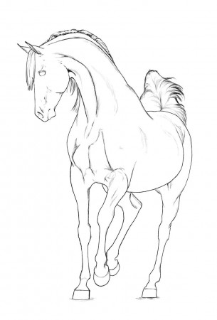 Arabian Horse Coloring Pages Related Keywords & Suggestions ...