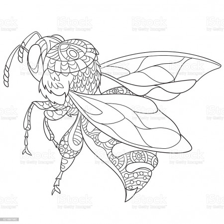 Hand Drawn Stylized Bee Insect Stock Illustration - Download Image Now -  iStock