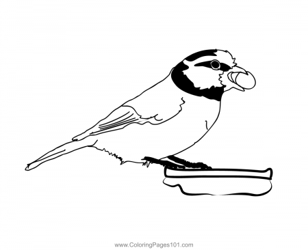 Blue Tit 4 Coloring Page for Kids - Free Bearded Tits Printable Coloring  Pages Online for Kids - ColoringPages101.com | Coloring Pages for Kids