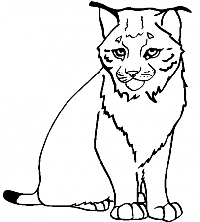 Lynx Coloring Pages Printable for Free ...