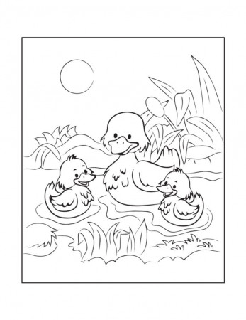 Free DUCK Coloring Pages for Download (Printable PDF) - VerbNow