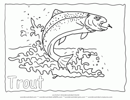 Fish Coloring Pages A to Z, Fish Coloring Pictures Collection of ...