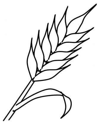 Wheat coloring pages - Free Printable