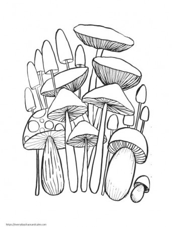 14 Fun Mushroom Coloring Pages For Kids & Adults