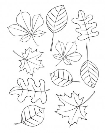 Leaves coloring pages | 90 Free coloring pages for Kids