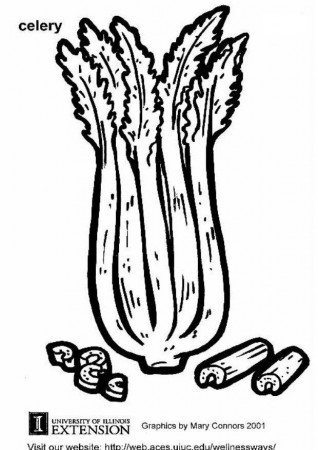 Coloring Page celery - free printable coloring pages