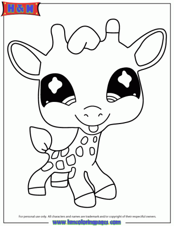 lps collie Colouring Pages (page 3)