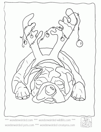 Christmas Dog Pictures to Color,Echo's Cartoon Dog Christmas 