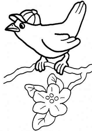Pictures Bird Using Hat Coloring For Kids - Animal Coloring Pages 