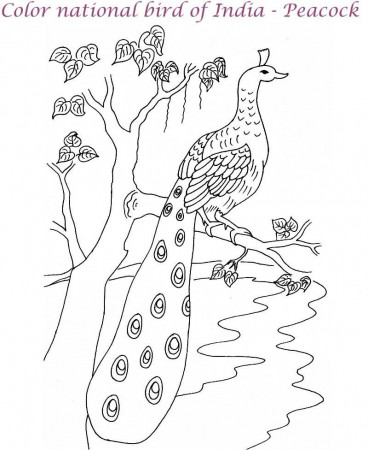 busy village Colouring Pages
