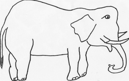Animal Coloring Free Printable Elephant Coloring Pages For Kids 