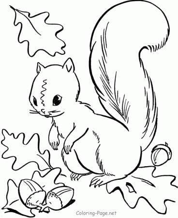 Fall coloring page - Squirrel acorns | Harvest