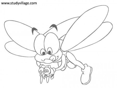 Funny Insects printable coloring page for kids 21: Funny Insects 