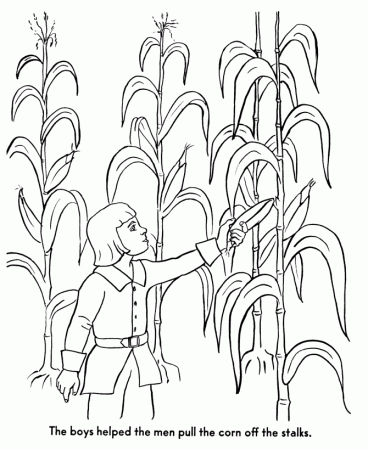 The Pilgrims Coloring pages: Pilgrim boys helped gather corn 