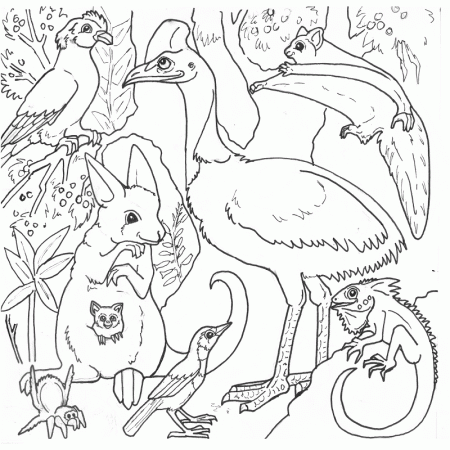 Coloring Pages For Rainforest