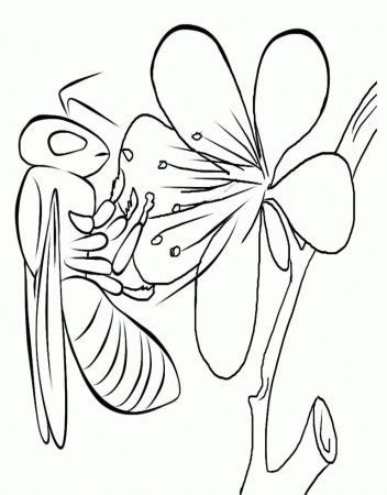 2014 February :Kids Coloring Pages | Printable Coloring Pages 