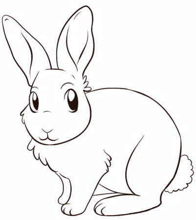 Download Cute Rabbit Color Pages To Print Or Print Cute Rabbit 