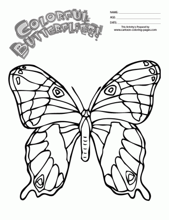 Butterfly Coloring Printouts