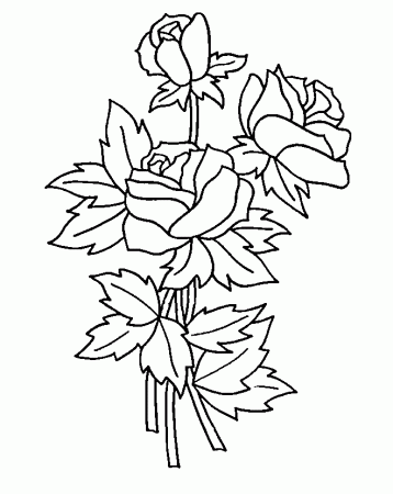 Coloring Pages Of Roses – 660×830 Coloring picture animal and car 